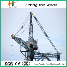 Hot Sale Luffing Tower Crane L220